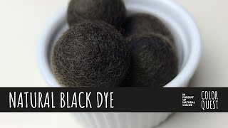 HOW TO MAKE NATURAL BLACK DYE | ORGANIC COLOR | TANNIN & IRON | POMEGRANATE | LOGWOOD | OAK GALL