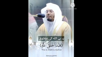 (هذا خلق الله ) بتلاوة أكثر من رائعه 😍 لفضيلة الشيخ ياسر الدوسري