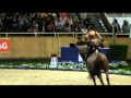 Claire de ridder  chio aachen 2013