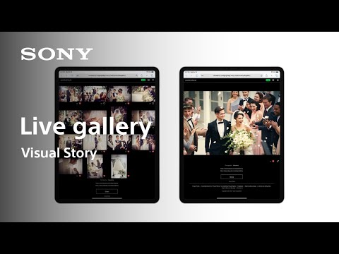 Visual Story | Live gallery | Imaging Edge | Sony