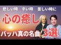 癒しの音楽！バッハ！真の名曲3選！辛い時、悲しい時、苦しい時に聴いて欲しい音楽！