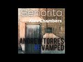 Señorita - Cover by Alec Chambers (Revamped)