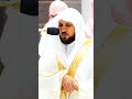 كلا بل لا تكركون اليتيم ترتيل ناادر ومؤثر جدا من سورة الفجر للشيخ ماهر المعيقلي 