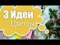 ТОП 3 Поделки своими руками | Лакси