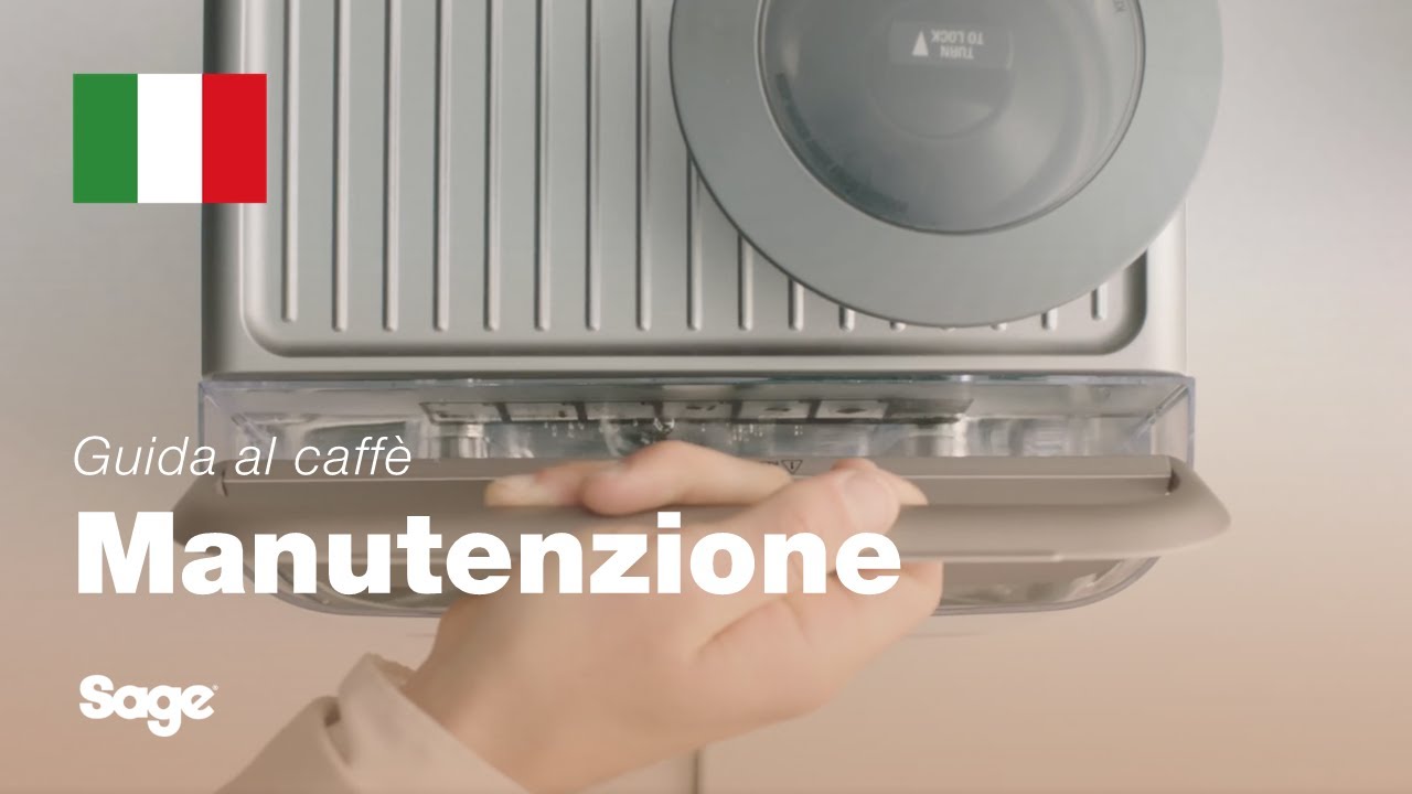 Wessper 2x Filtro Acqua per Macchine da Caffè Sage | Filtro dell'Acqua Sostituzione Sage, Barista Express Pro SES008, SES875, BES920, BES811, SES878, SES880, SES810, SES980, SES990