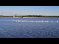 Лебеди на Серовском море 13.05.2020