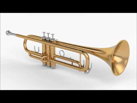 What Do You Think About This Instrument #4