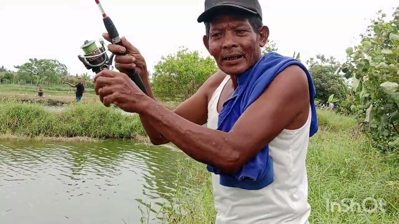 segera perdana kolam di paluh nibung