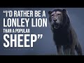 Id rather be a lonely lion than a popular sheep official music fearless motivation