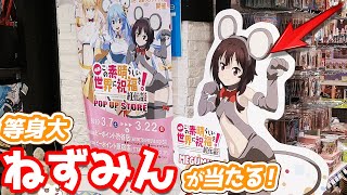 めぐみん…じゃなくてねずみん！？等身大パネルも当たる このすばPOP UP SHOP行ってみた！