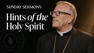 Hints of the Holy Spirit  Bishop Barron's Sunday Sermon