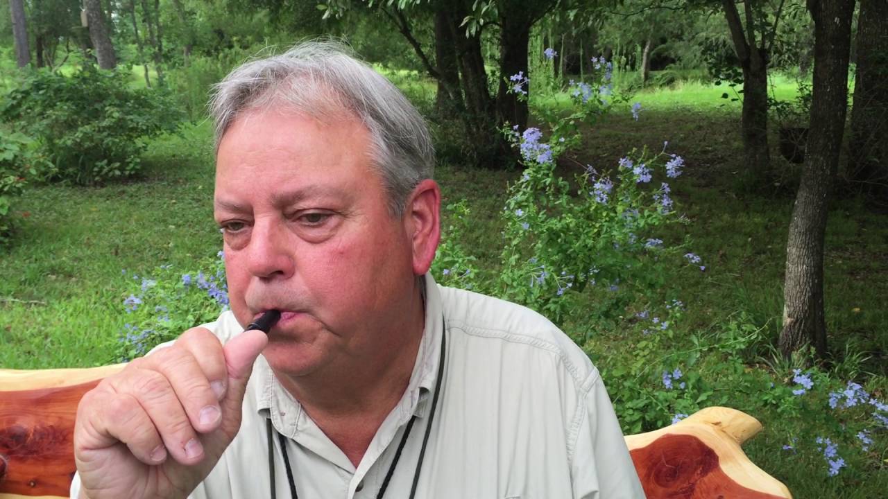 Wood Duck Game Call YouTube