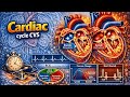 Cardiac cycle part 1 CVS
