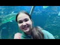 Поездка в океанариум. #москва#крокус#многодетнаясемья#интересно