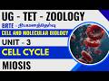 UG - TET - ZOOLOGY - நியமனத்தேர்வு -UNIT -3 - CELL AND MOLECULAR BIOLOGY - CELL CYCLE - MEIOSIS