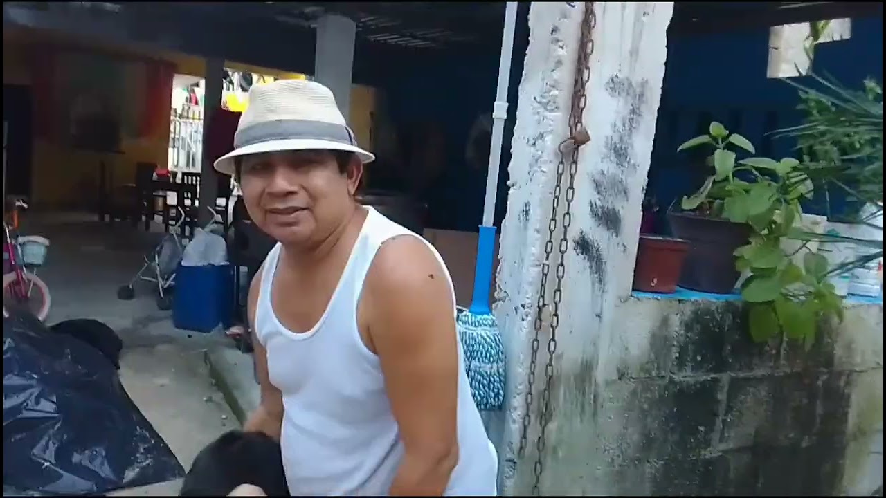 El pequeño  huerto  de sawy