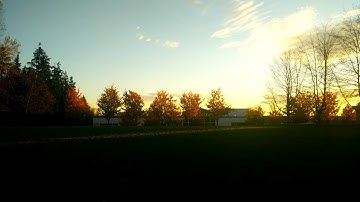 COGS 110 Final Video