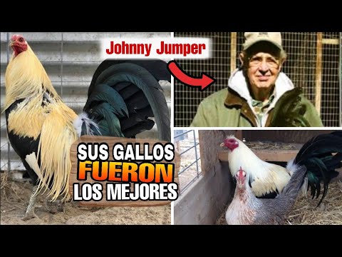 5 Secretos de