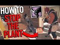 Oryx Is The BEST PLANT DENIAL