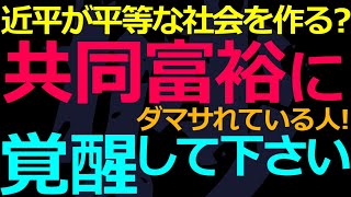 11-04 近平の「共同富裕」が実現するはずない簡単な理由