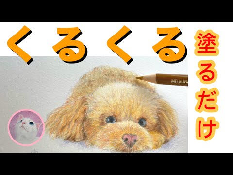 仔犬の色鉛筆画 model : toki @saotake_toki * * shibainu 2025冬の鉛筆画展