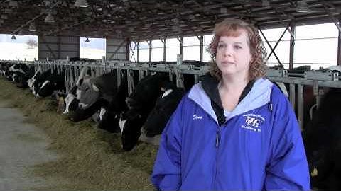 Repro Money: A Team-Based Program To Improve the Reproductive Performance of Your Herd