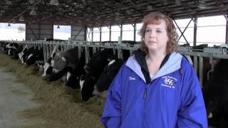 Repro Money: A Team-Based Program To Improve the Reproductive Performance of Your Herd