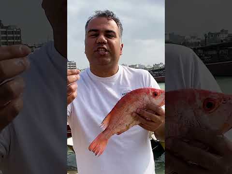 سرخو اصل بوشهری این ماهی از رنگ پوستش مشخص که نمونه بوشهری هست و این سایز از ماهی مخصوص یک نفر است