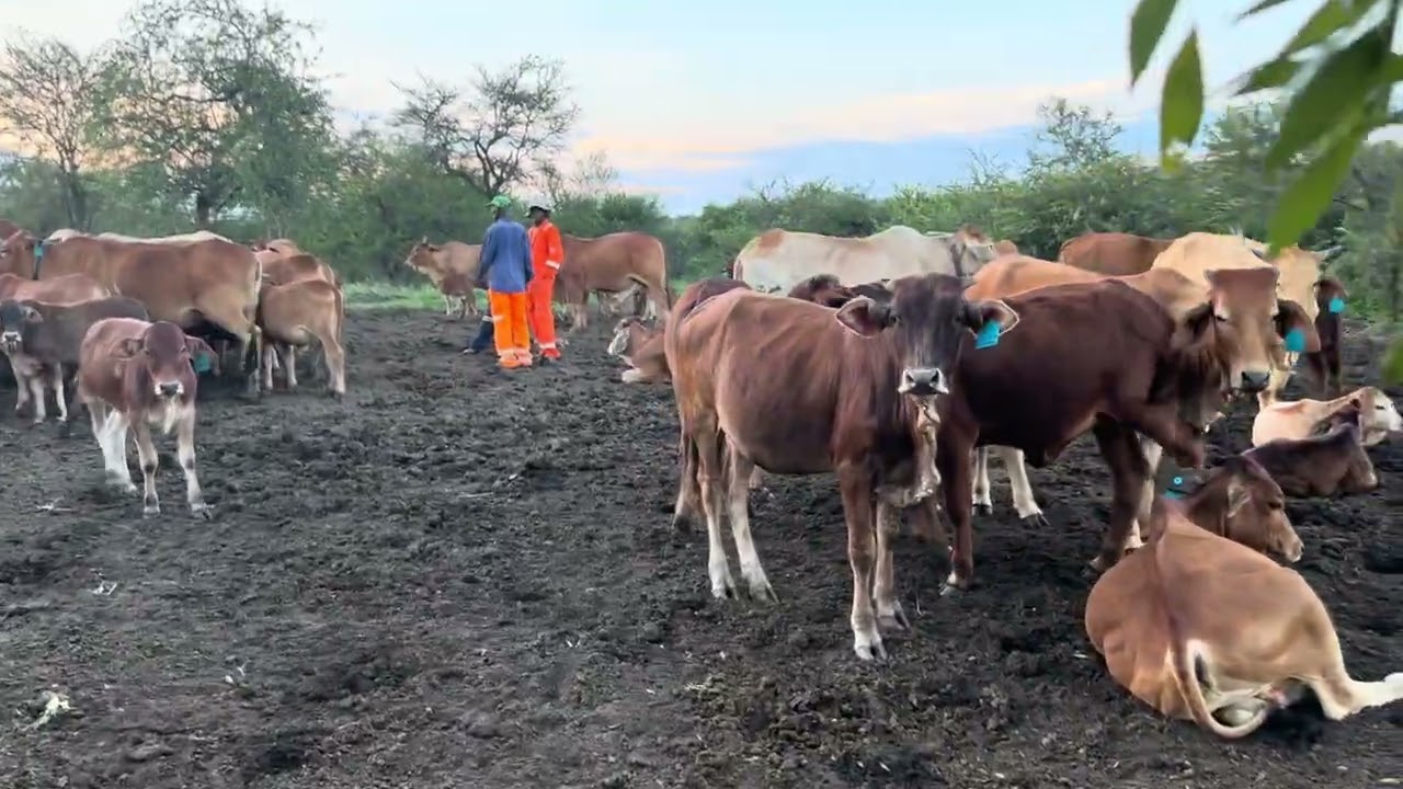 Bits and bobs from our new home #startingover