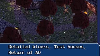 Detailed blocks, Test houses and return of AO.