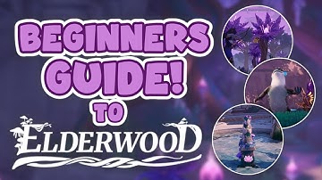 Palia Elderwood Map Beginner Tips: What You NEED to Know!
