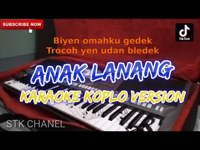 ANAK LANANG (BIYEN OMAHKU GEDEK) KARAOKE DANGDUT KOPLO STK CHANEL class=