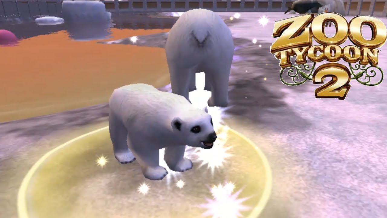 Zoo Tycoon 2 Polar Bear Breeding YouTube