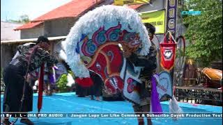 TUTUPE WIRANG ! Jaranan NEW WIJOYO PUTRO Live Mungkung Rejoso