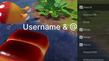 I Found a Hacker (Again, but In P-WIP this Time)