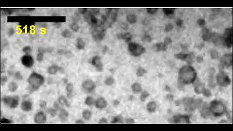 LP-TEM movie of the in-situ self-assembly of polymeric vesicles