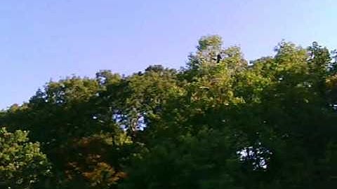 Scratchbuild 3D style Foamie Test Flight