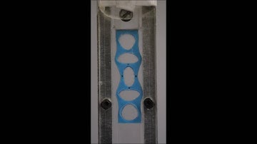 Buckling in a holey column (5 holes, forced mode)