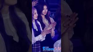 Twice Simping Over Jin