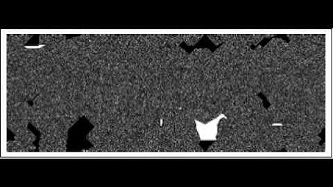 2D Cellular Automaton evolving from 2009 NKSS group photo 1