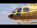 Rhino Operation Challenges and Safety