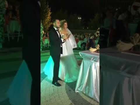 Dream Garden -