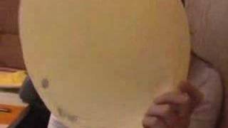 Laura y su amigo topo