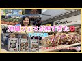 沖縄フェス代々木公園が神すぎた🌺知らないと損な原宿1日Vlog