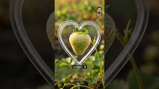 short video #trending #viralvideo #creativevideo #fypyoutube #1million #support