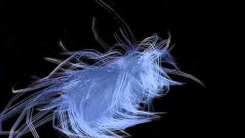 Videos made with Autodesk Maya 30 day trial