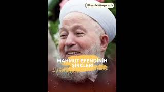 Mahmut efendi denilen sapığın Şirkleri | Münasib Hüseynov