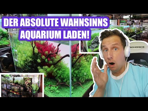 Sascha REAGIERT auf | BEAUTIFUL PLANTED FISH STORE TOUR!! Aquarium Shop Color