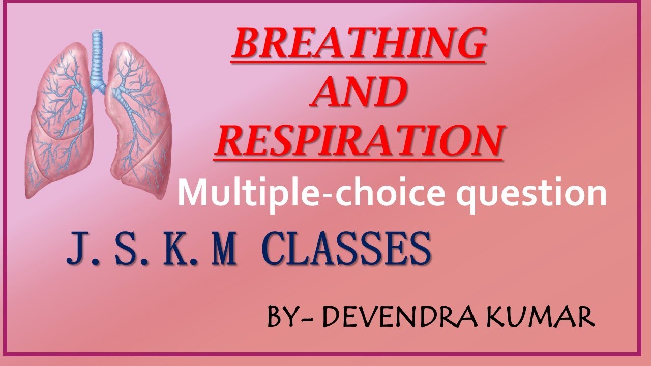 BREATHING AND RESPIRATION (MCQ) YouTube
