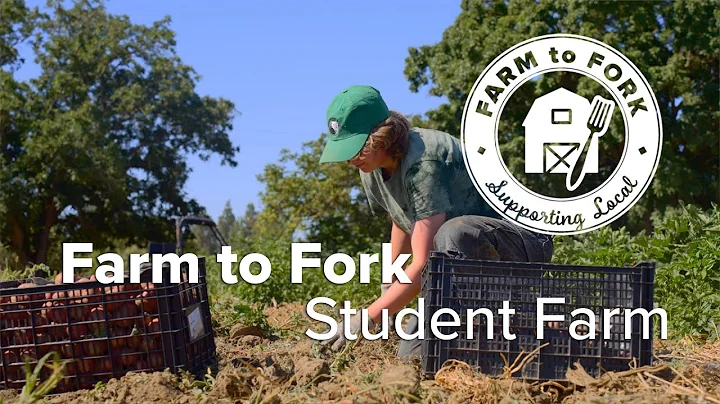Farm to Fork: Local Produce from the UC Davis Student Farm